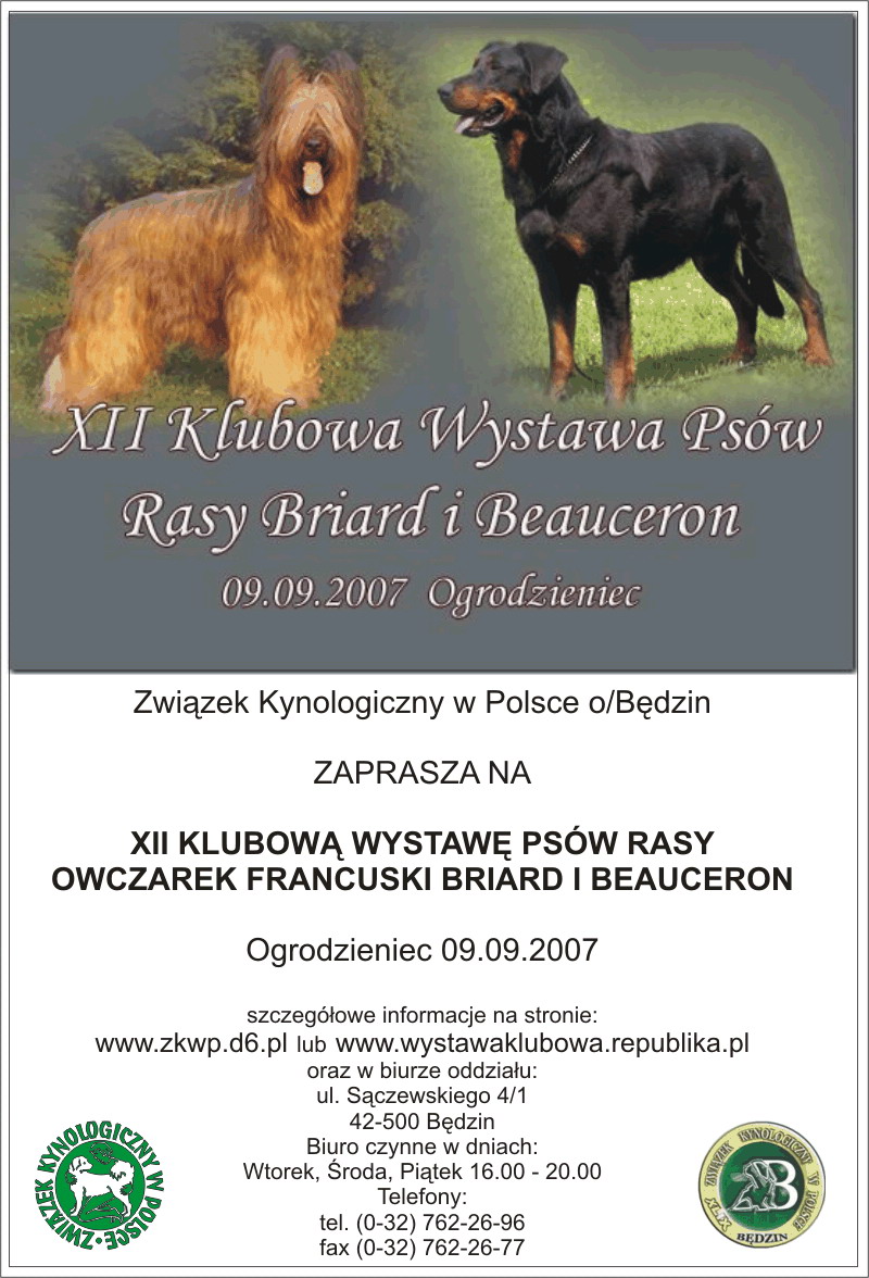Klubowa Briardy