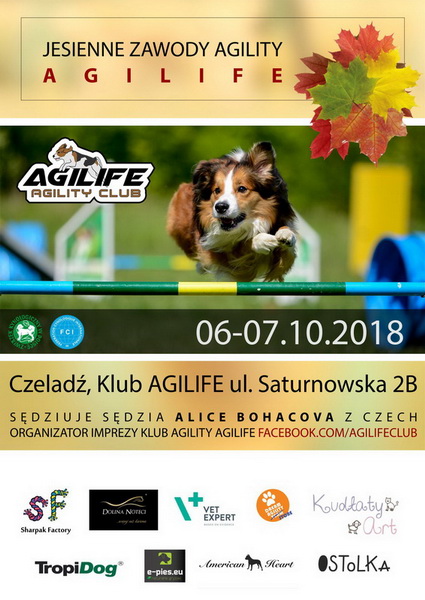 agility_06-10-2018.jpg