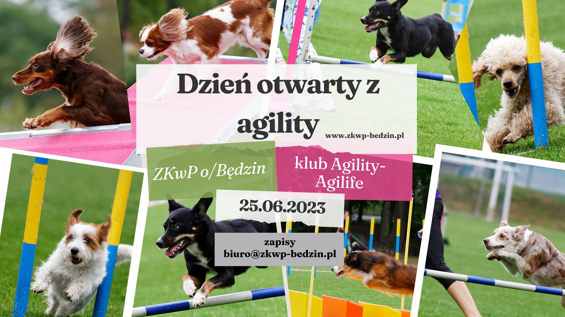 agility dni otwarte 06.2023