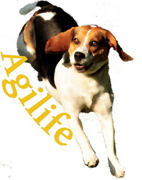 agilife