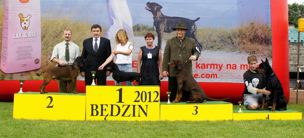 bis_uzytki.jpg