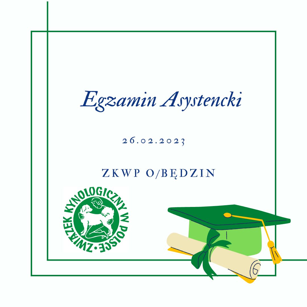 egzamin asystencki