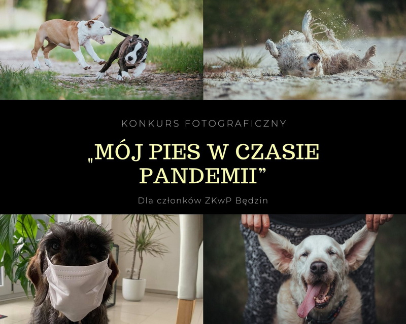 konkurs_foto_2021.jpg