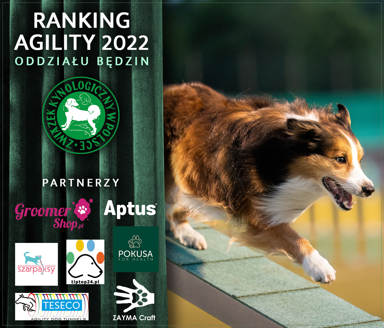 plakat ranking