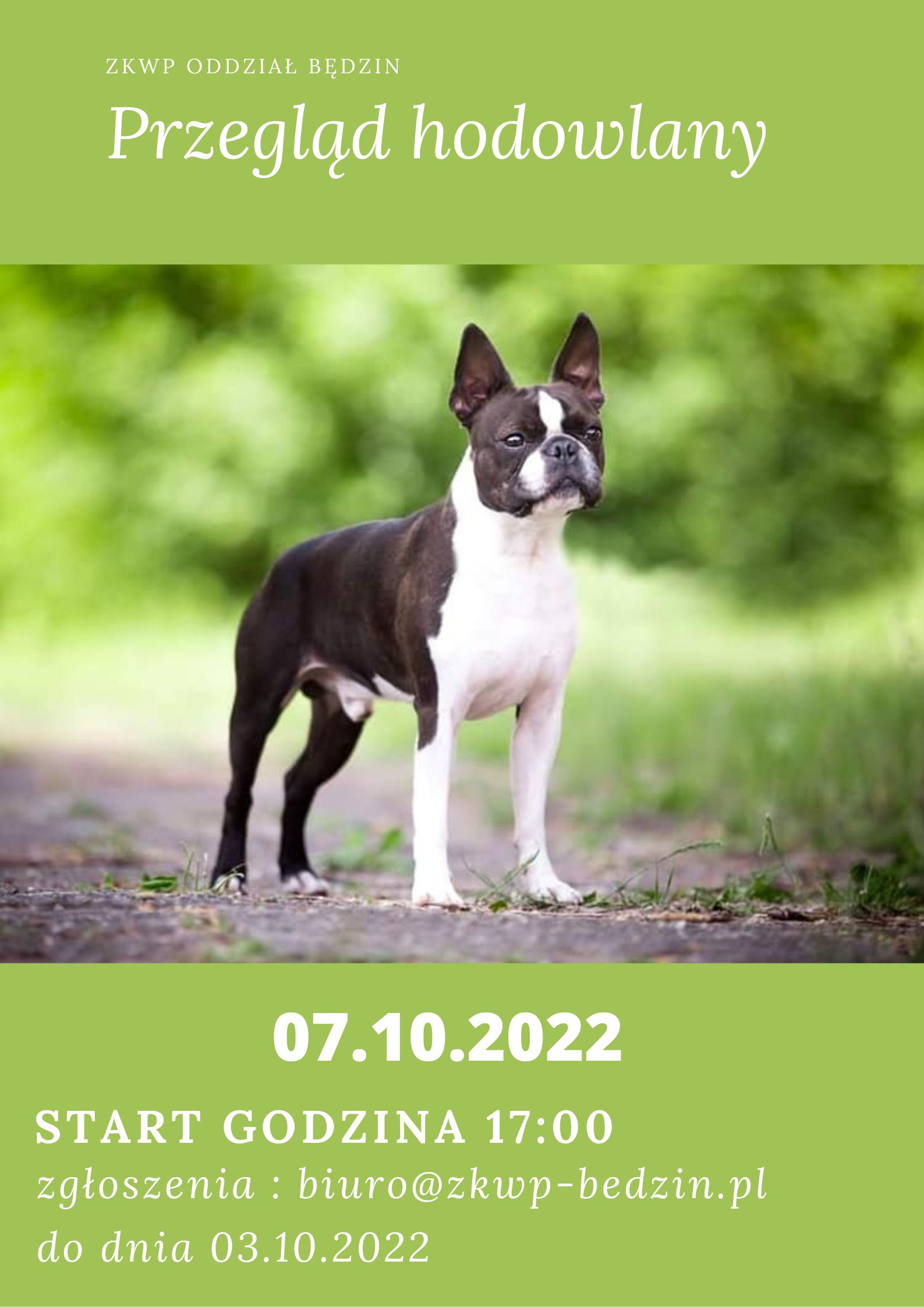 przeglad10.2022