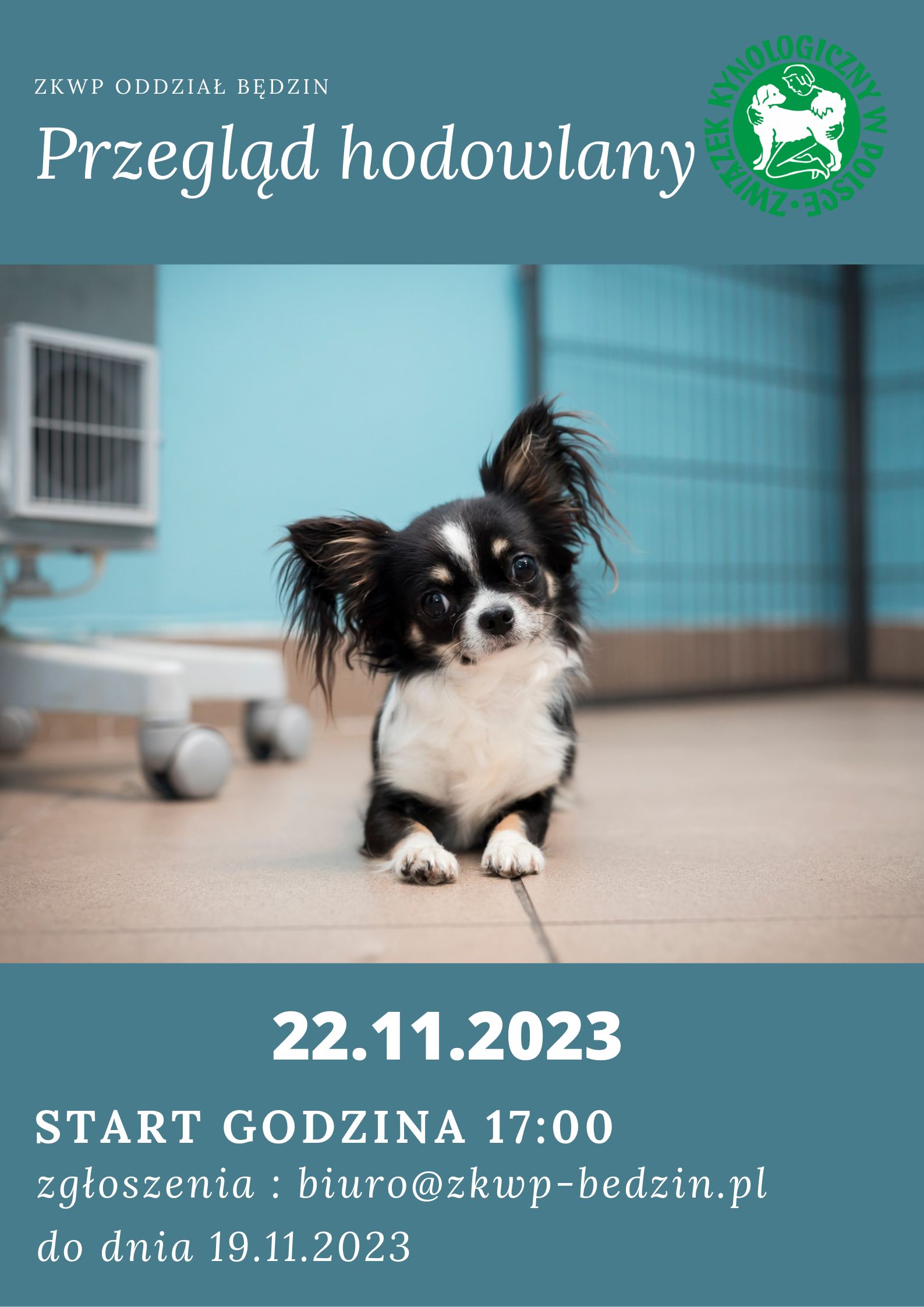 przeglad listopad 2023