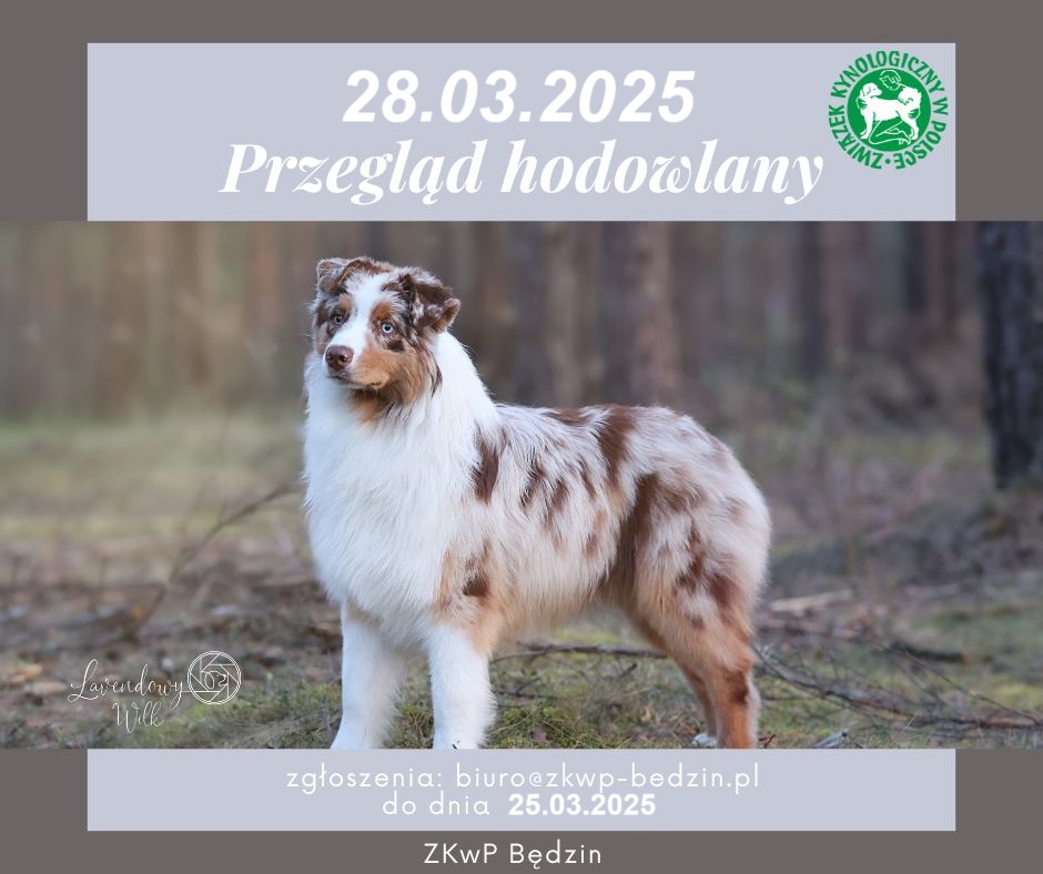 przegląd 03.2025