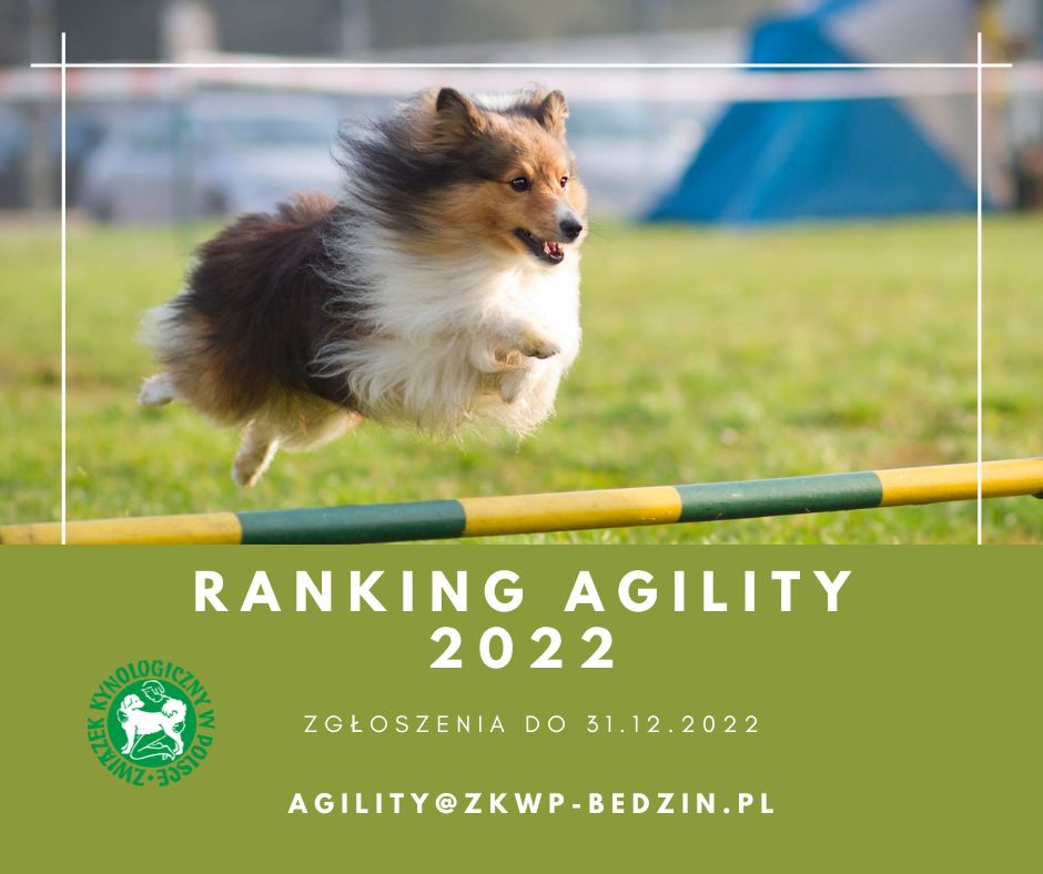 ranking agility2022