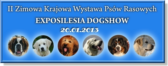 wystawa psów rasowych ExpoSilesia