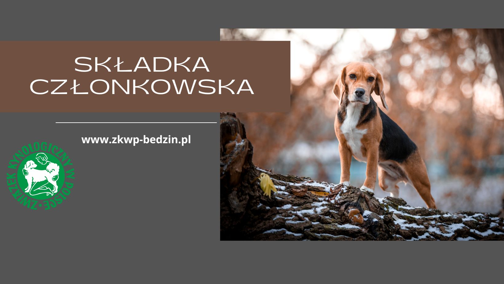 skladka czlonkowska