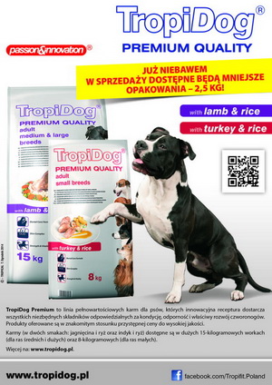 tropi dog