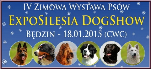 wystawa zimowa Będzin