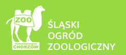 zooslaskielogo