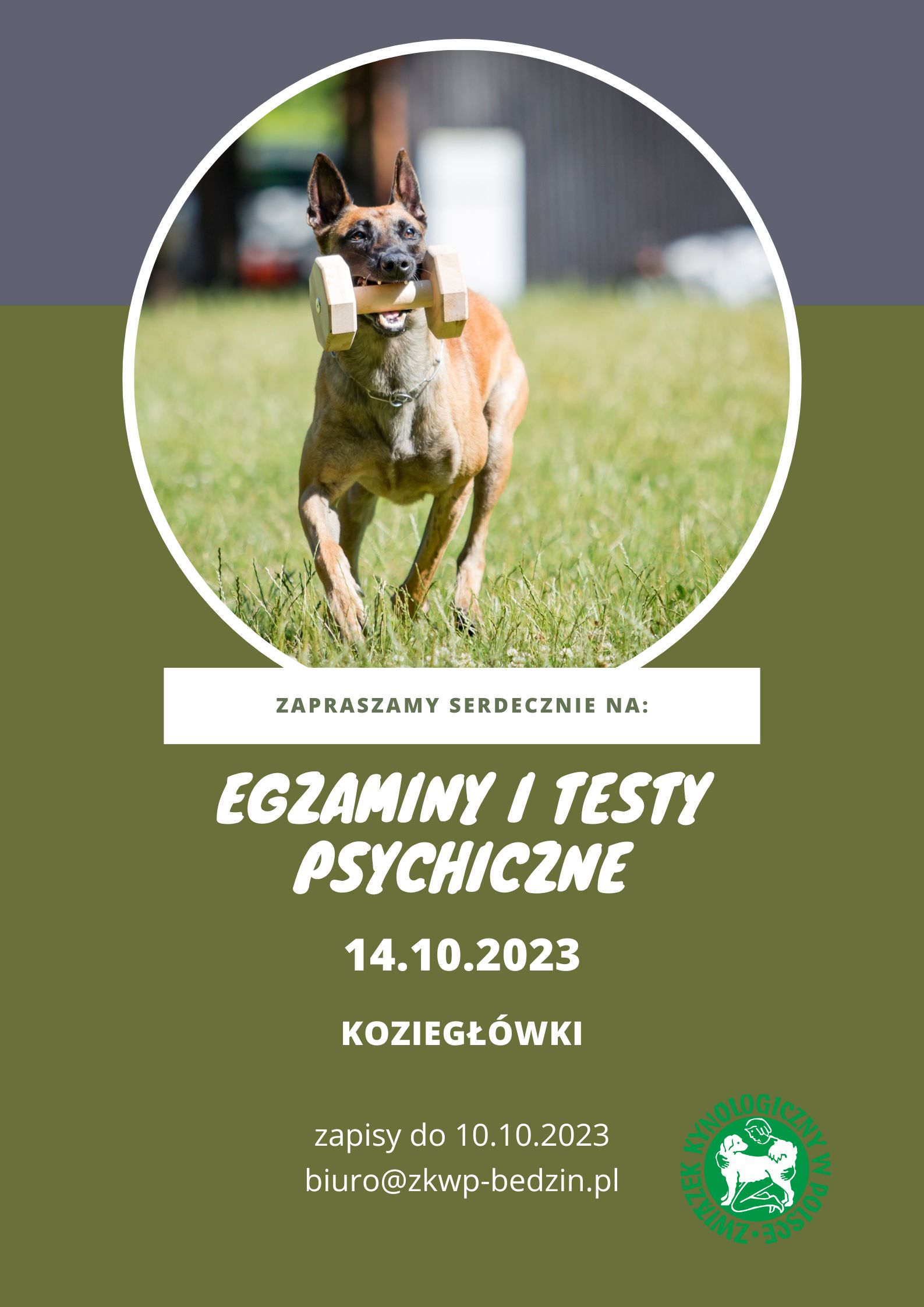 Testy Psychiczne 10