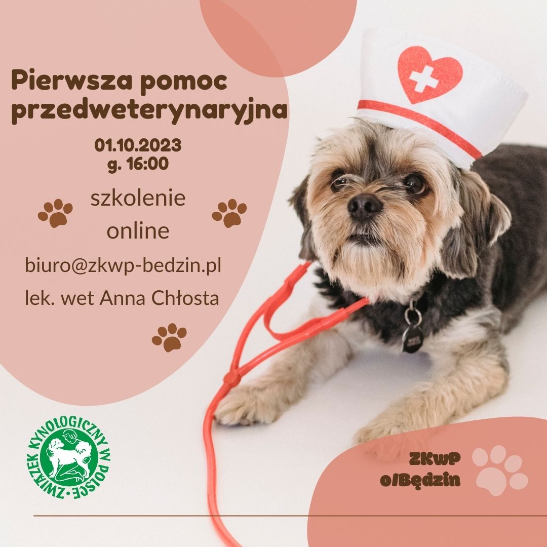 pierwsza pomoc10.2023